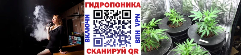 Бошки Шишки ГИДРОПОН  Поронайск 